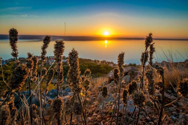 Foto van Vakantiehuis in Starigrad bij Paklenica - Vakantiehuis in Starigrad - AreaSummer5KM