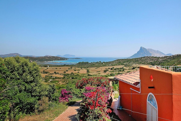 Foto van Appartement in residentie in Loiri - Vakantiehuis in Loiri - ExteriorSummer