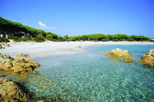 Foto van Appartement in Sos Alinos bij Cala Liberotto - Vakantiehuis in Loc. Alinos-Orosei (NU) - ExteriorSummer