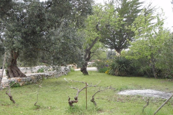 Foto van Rustige villa in Apulië - Vakantiehuis in Cisternino - AreaSummer20KM