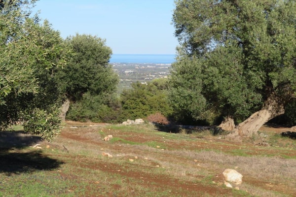 Foto van Rustige villa in Apulië - Vakantiehuis in Cisternino - AreaSummer20KM