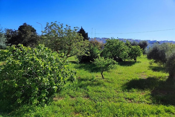 Foto van Rustige villa in Apulië - Vakantiehuis in Cisternino - AreaSummer20KM
