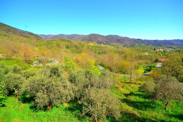 Foto van Rustieke cottagecharme in Ligurië - Vakantiehuis in Sesta Godano - ViewSummer