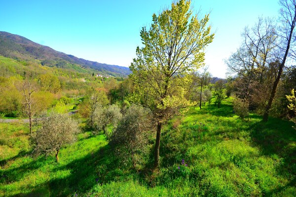 Foto van Rustieke cottagecharme in Ligurië - Vakantiehuis in Sesta Godano - ViewSummer