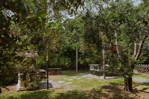 Foto van Vakantiehuis in  - Vakantiehuis in  - Untagged