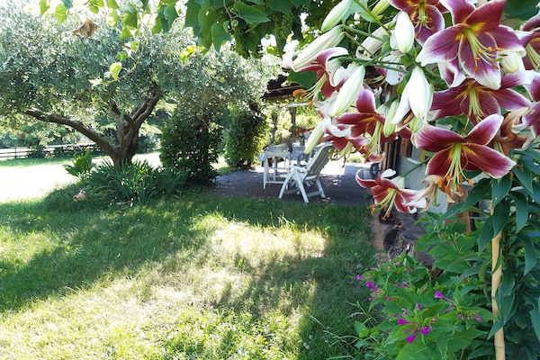 Foto van Ruim huisje in Veneto - Vakantiehuis in Crespano del Grappa - GardenSummer