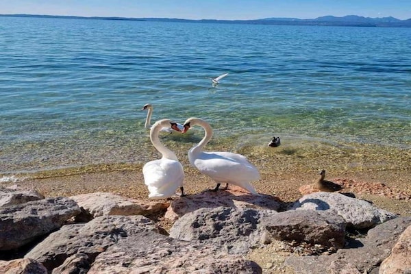 Foto van Villa in Lazise met uitzicht op Gardameer - Vakantiehuis in Lazise - AreaSummer5KM