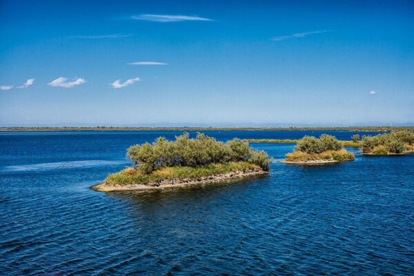 Foto van Appartement in Rosolina Mare (RO) - Vakantiehuis in Rosolina Mare (RO) - AreaSummer5KM