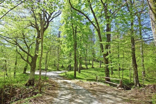 Foto van Villa in Pistoia met Zwembad en Uitzicht - Vakantiehuis in Pistoia - AreaSummer5KM