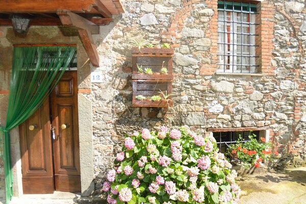 Foto van Pescaglia Serene Retreat - Vakantiehuis in Pescaglia - Ambiance