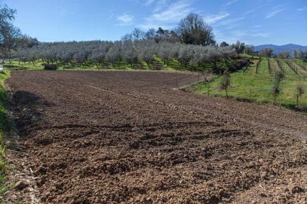 Foto van Lucca Central Garden Cottage - Vakantiehuis in Lucca - AreaSummer20KM
