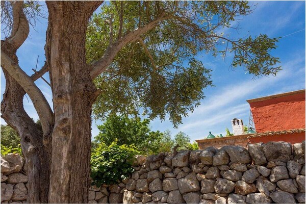 Foto van Corte della Masseria - Vakantiehuis in San Vito dei Normanni - Untagged