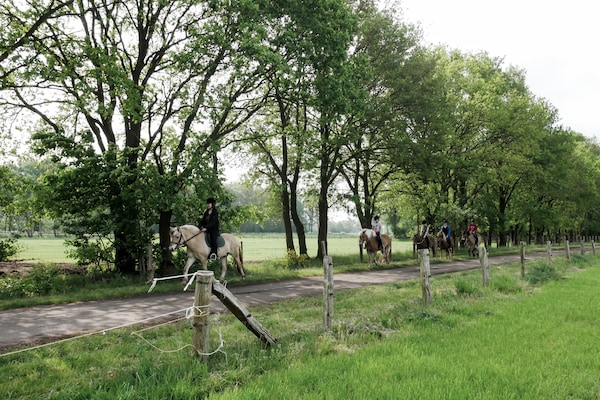 Foto van Appartement in Eibergen bij Zwillbrocker Venn - Vakantiehuis in Eibergen - AreaSummer1KM