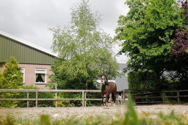 Foto van Appartement in Eibergen bij Zwillbrocker Venn - Vakantiehuis in Eibergen - AreaSummer1KM