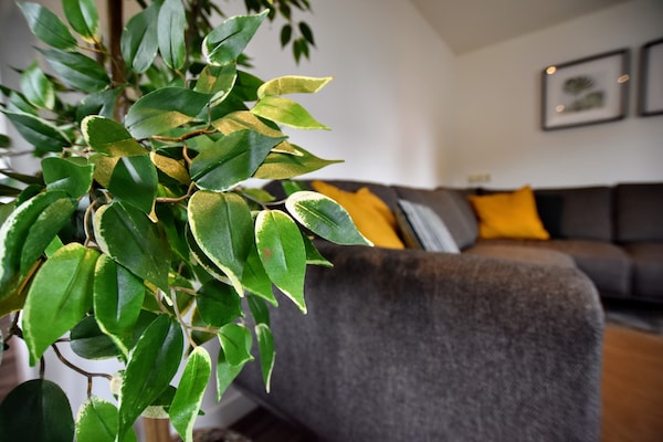 Foto van Appartement in Eibergen bij Zwillbrocker Venn - Vakantiehuis in Eibergen - Ambiance