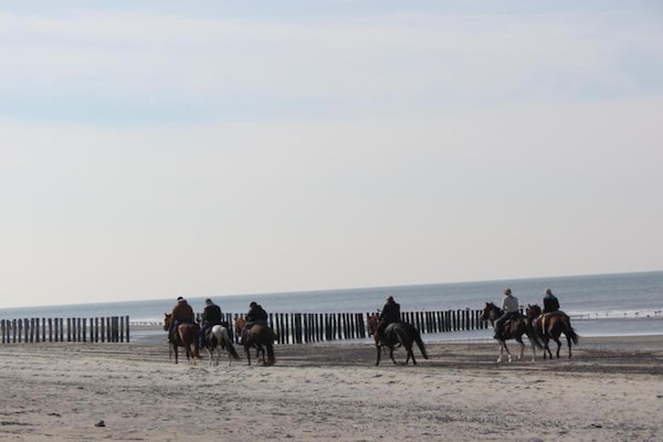 Foto van Vakantiehuis in Renesse bij het Strand - Vakantiehuis in Renesse - AreaSummer20KM