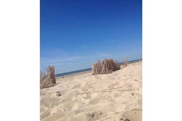 Foto van Familiestrandlodge 16 - Vakantiehuis in Callantsoog - Untagged