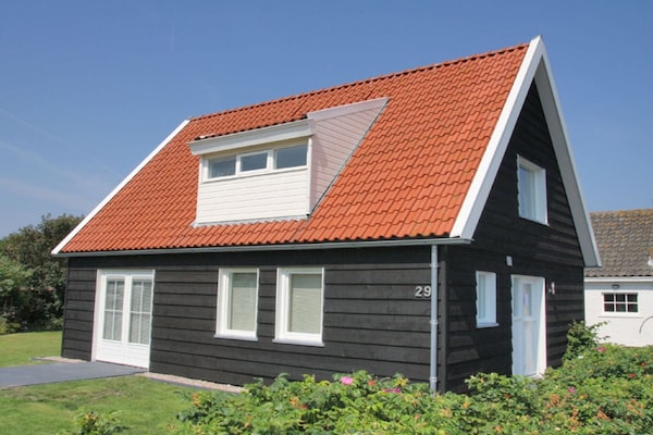 Foto van De wortels van Beach Villa - Vakantiehuis in Callantsoog - Untagged