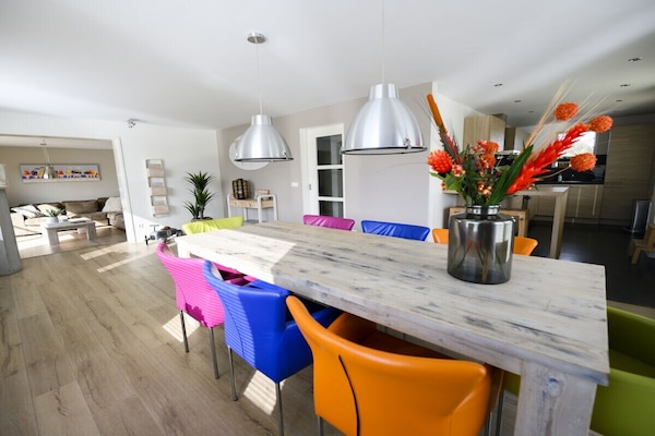 Foto van De wortels van Beach Villa - Vakantiehuis in Callantsoog - Untagged
