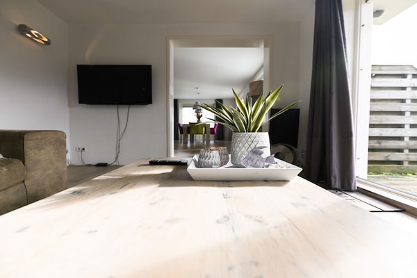 Foto van De wortels van Beach Villa - Vakantiehuis in Callantsoog - Untagged