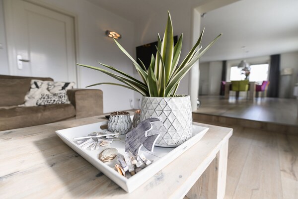Foto van De wortels van Beach Villa - Vakantiehuis in Callantsoog - Untagged