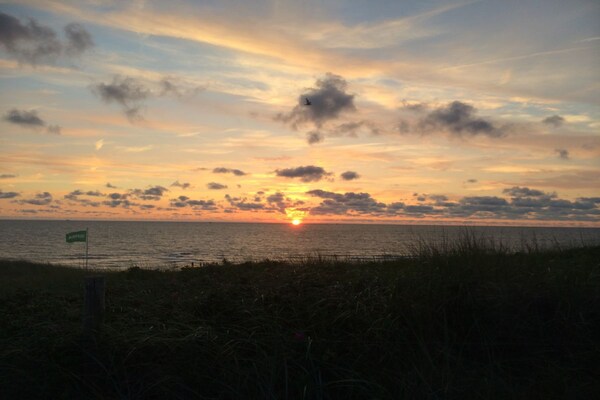 Foto van De wortels van Beach Villa - Vakantiehuis in Callantsoog - Untagged