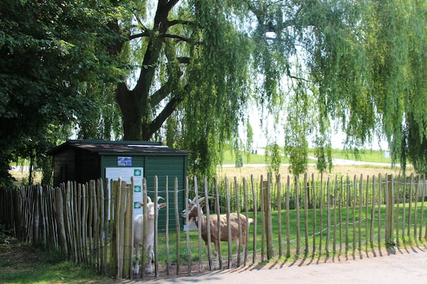 Foto van Huisdiervriendelijke plattelandsvakantie - Vakantiehuis in Zevenhuizen - ParkFacilities