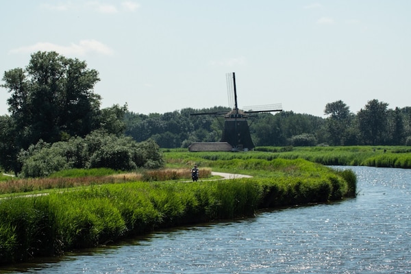 Foto van Huisdiervriendelijke plattelandsvakantie - Vakantiehuis in Zevenhuizen - AreaSummer5KM