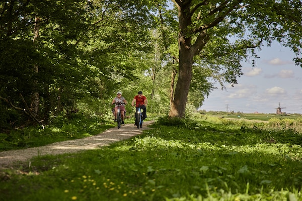 Foto van Huisdiervriendelijke plattelandsvakantie - Vakantiehuis in Zevenhuizen - AreaSummer5KM