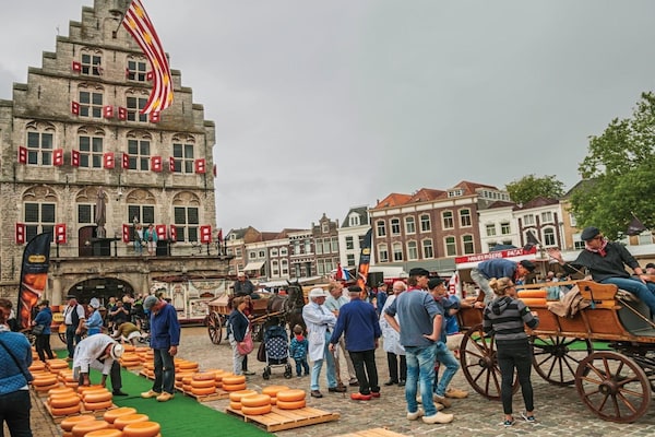 Foto van Huisdiervriendelijke plattelandsvakantie - Vakantiehuis in Zevenhuizen - AreaSummer20KM