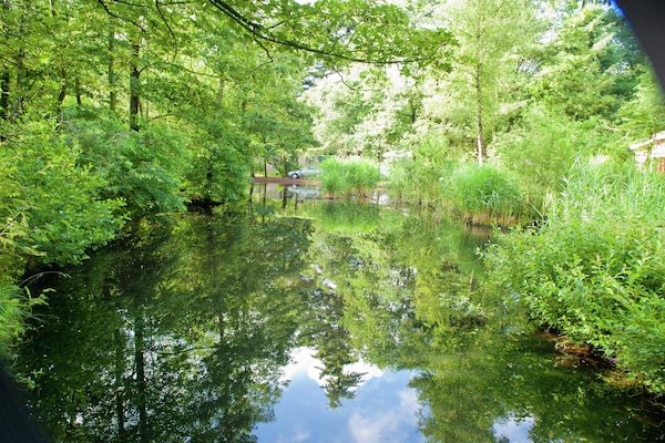 Foto van 6-persoons Comfort vakantiehuis met sauna. - Vakantiehuis in Kootwijk - AreaSummer5KM
