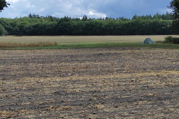 Foto van Vakantiehuis in Veluwe vlakbij nationaal park - Vakantiehuis in Voorthuizen - AreaSummer20KM