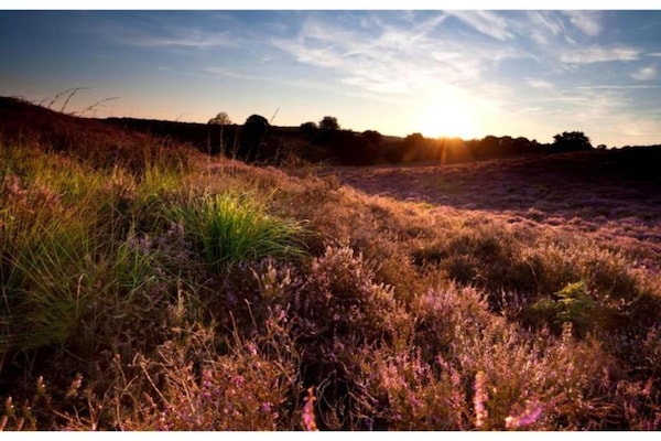 Foto van Vakantiehuis in Veluwe vlakbij nationaal park - Vakantiehuis in Voorthuizen - AreaSummer20KM