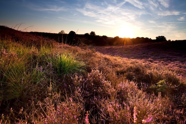 Foto van Vakantiehuis in Veluwe vlakbij nationaal park - Vakantiehuis in Voorthuizen - AreaSummer20KM