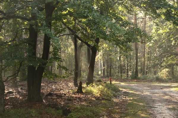 Foto van Vakantiehuis in Veluwe vlakbij nationaal park - Vakantiehuis in Voorthuizen - AreaSummer20KM