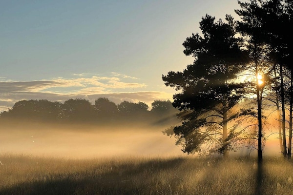 Foto van Vakantiehuis in Voorthuizen bij Veluwe - Vakantiehuis in Voorthuizen - AreaSummer20KM