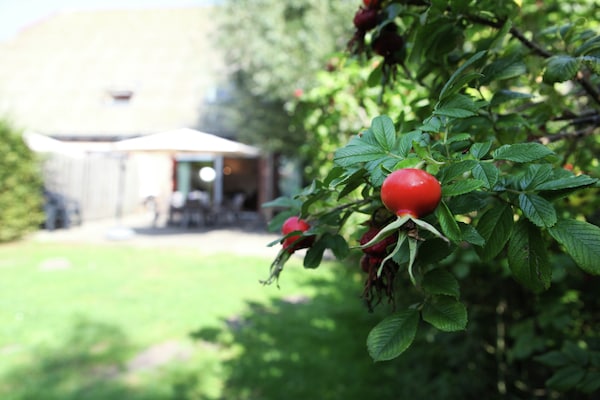Foto van Boerderijappartement in Eede - Vakantiehuis in Eede - Ambiance