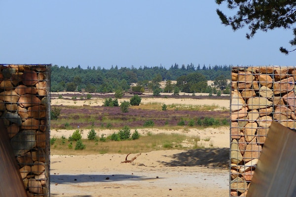 Foto van Chalet bij Drunense Duinen in Van Gogh-stijl - Vakantiehuis in Udenhout - AreaSummer5KM