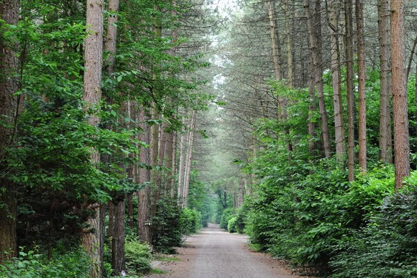 Foto van Chique verblijf met rieten dak - Vakantiehuis in Baarle-Nassau - AreaSummer1KM
