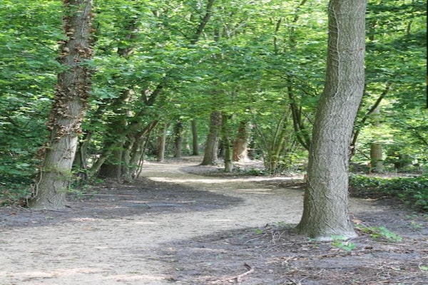 Foto van Chique verblijf met rieten dak - Vakantiehuis in Baarle-Nassau - AreaSummer20KM