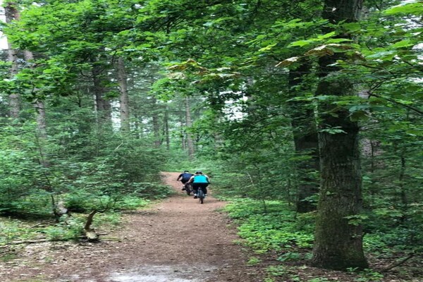 Foto van Lodge in Bospark 't Wolfsven met Tuin - Vakantiehuis in Mierlo - AreaSummer5KM