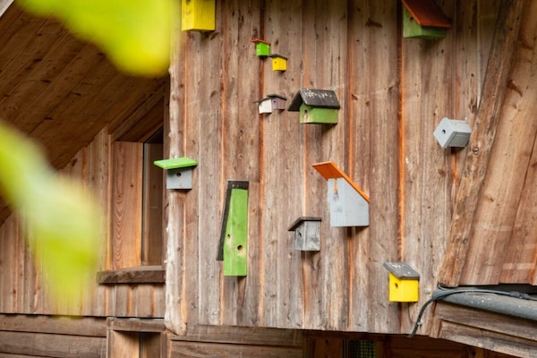 Foto van Vakantiehuis in  - Vakantiehuis in  - Untagged