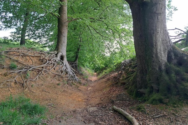 Foto van Gezellige villa midden in de Achterhoek - Vakantiehuis in Almen - AreaSummer20KM