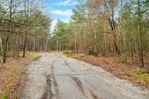 Foto van 2 modern verbouwde vakantiehuisjes naast elkaar in landelijke omgeving - AreaSummer5KM