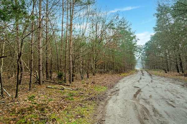 Foto van 2 modern verbouwde vakantiehuisjes naast elkaar in landelijke omgeving - AreaSummer20KM