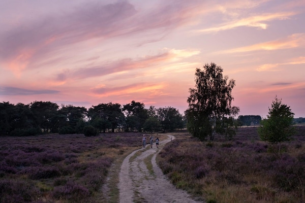 Foto van Luxe boslodge met privésauna - Vakantiehuis in Rijssen - AreaSummer5KM