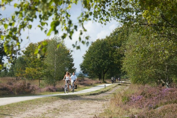Foto van Luxe boslodge met privésauna - Vakantiehuis in Rijssen - AreaSummer5KM