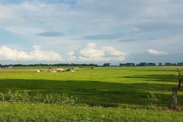 Foto van Chique glamping-uitje met zwembad - Vakantiehuis in Dalfsen - AreaSummer20KM