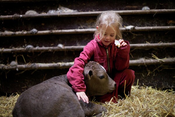 Foto van Rustige bungalow op de boerderij - Vakantiehuis in Heeten - Facilities