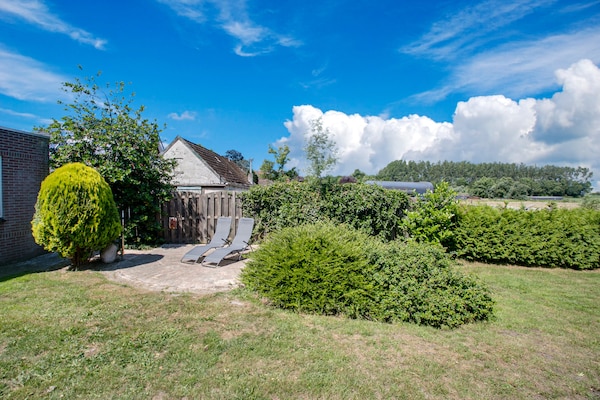 Foto van Vakantiehuis in Langezwaag met terras - Vakantiehuis in Langezwaag - GardenSummer